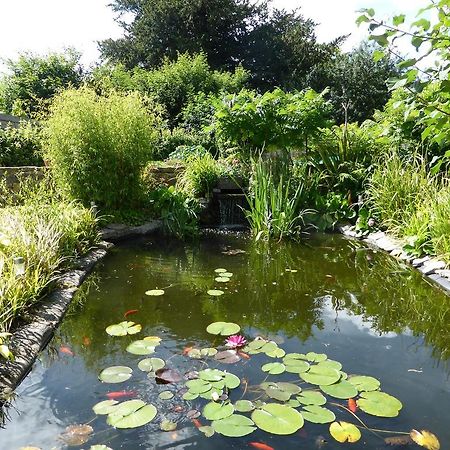 Liongate House Bed and Breakfast Ilchester Exterior foto